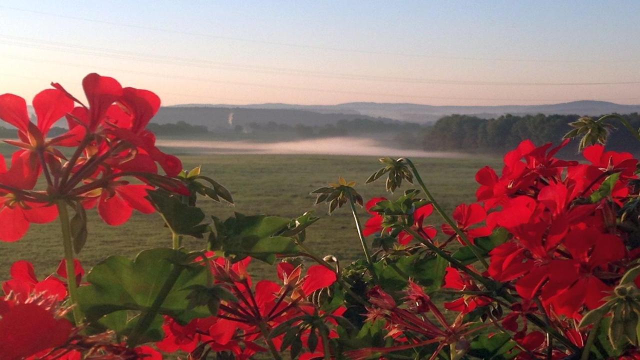 Waldhotel Dierdorf Экстерьер фото