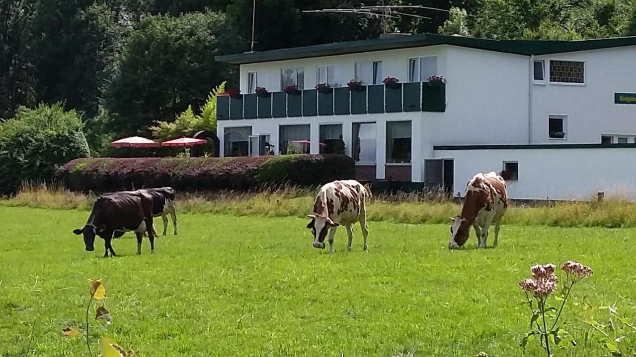 Waldhotel Dierdorf Экстерьер фото